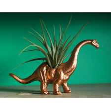 Gold Dinosaur Tillandsia Planter // Air Plant by Alycepaul