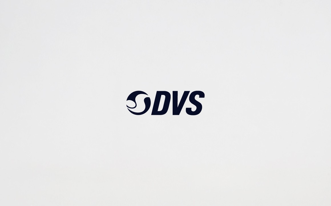 DVS Shoes