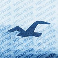 Hollister Co.