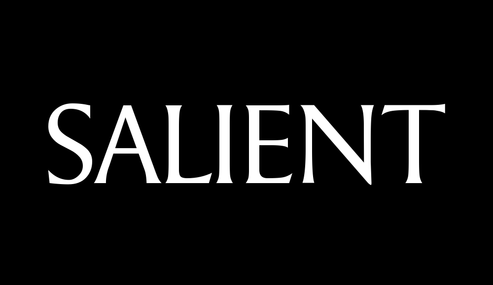 salient-lights.com
