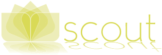 Scout Designer Boutique