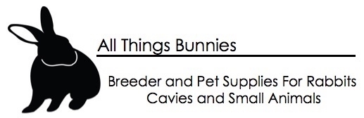 www.allthingsbunnies.com