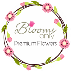 www.bloomsonly.com