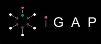 www.igap.sg