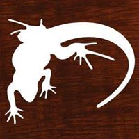 www.loungelizard.com