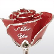 www.loveisarose.com