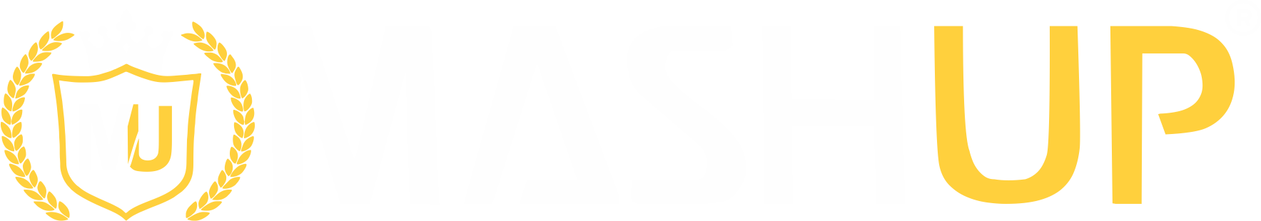 www.mashupboys.com