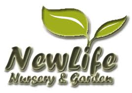 www.newlifenursery1.net