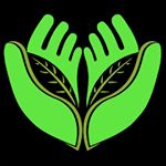 www.nirvanabeing.com