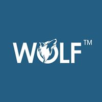 www.riseofwolf.com
