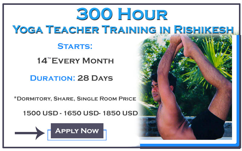 300 Hour yoga teacher train...