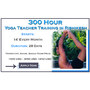 300 Hour yoga teacher training rishikesh