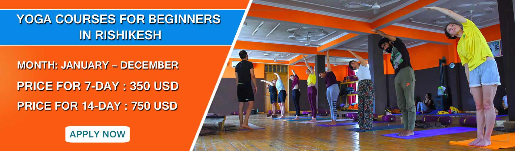 yoga for beginners in rishi...