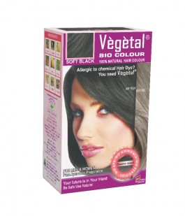 Vegetal Bio Hair Colour (So...