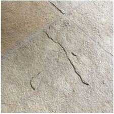 Tandur Yellow Tumbled Limestone Paving