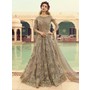 Grey Net Designer Anarkali Suit