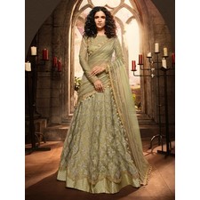 Light Green Net Partywear Lehenga Choli