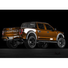 FORD RAPTOR F150 WHEELS RIMS 4PF6