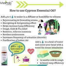 Cypress Essential Oil