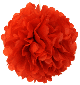 Tissue Paper Pom Pom 14inch...