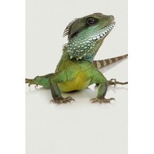 Eco Floor Graphics | Printing for Indoor Use