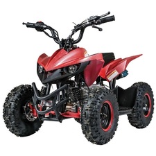 New Vitacci Mini Racer 60cc ATV, Single Cylinder, 4-Stroke, Air Cooled, Automatic, Electric Start