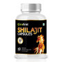 Shilajit Capsules