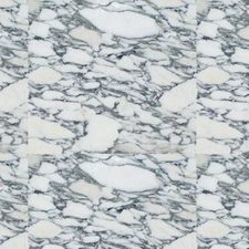 Crema Evora Marble