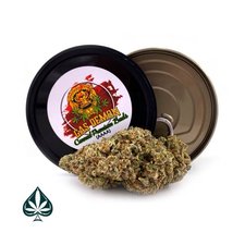 MANDARIN COOKIES CRAFT BY GAS DEMON – SATIVA DOMINANT HYBRID (AAAA)