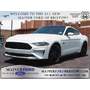 2019 Ford Mustang GT in Bri...