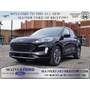 2020 Ford Escape SEL in Bri...