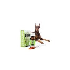 Doberman Pinschers| Promote Overall Health