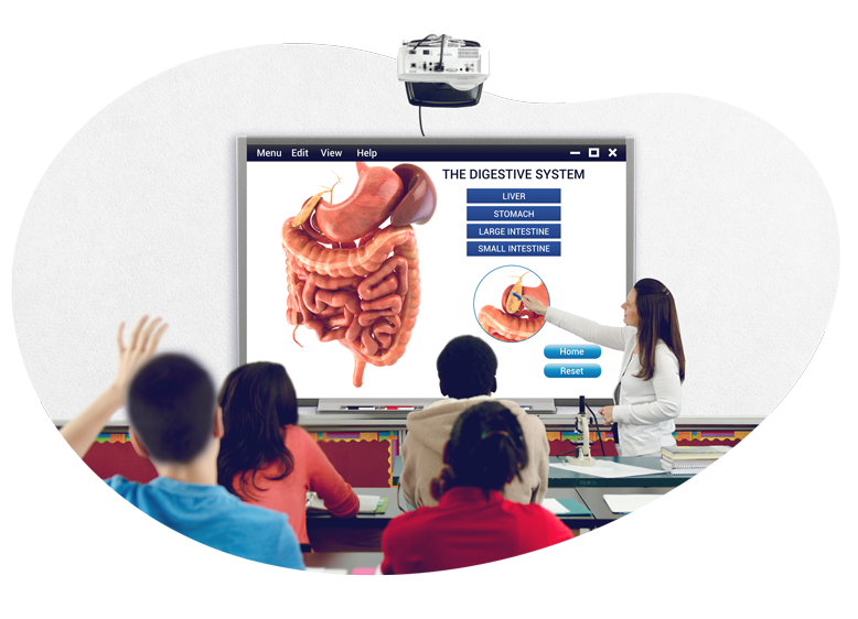 3D Simulation to Your Class...