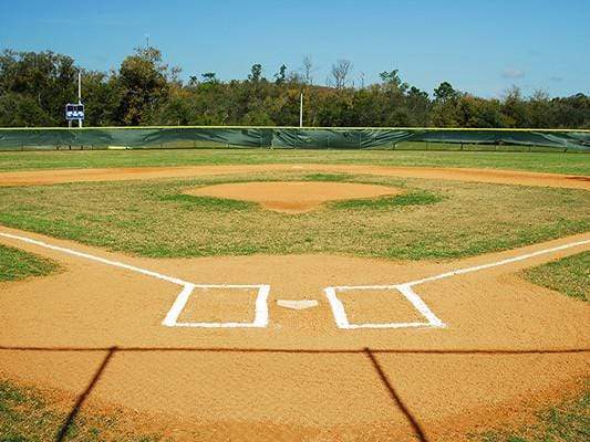 Baseball Court Sport Party ...