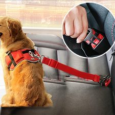 Pet Dog Seat Car Belt