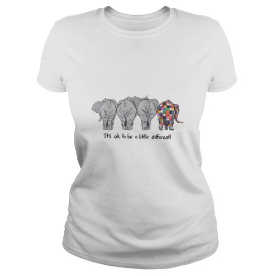 IT'S OK TO BE A LITTLE DIFFERENT LGBT ELEPHANT PRIDE T-SHIRT