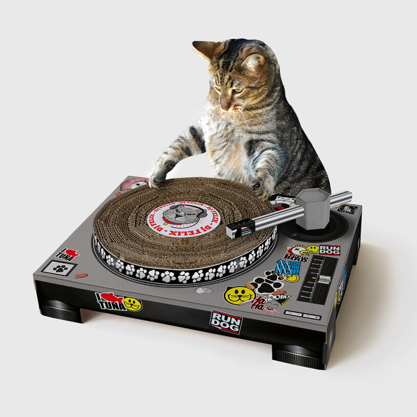 Cat DJ Scratching Decks