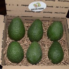 9 Large LoveCado Avocados plus 2 Free