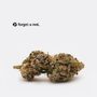 Buy Weed Online | AAAA Forg...