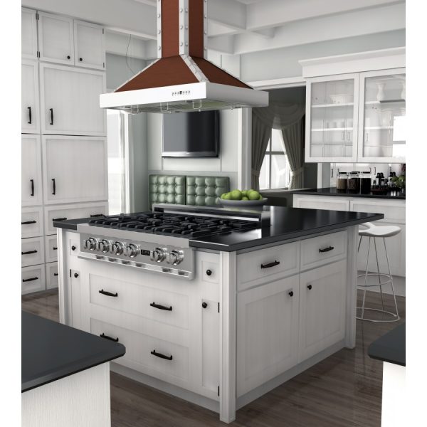 ZLINE Designer Series Stain...