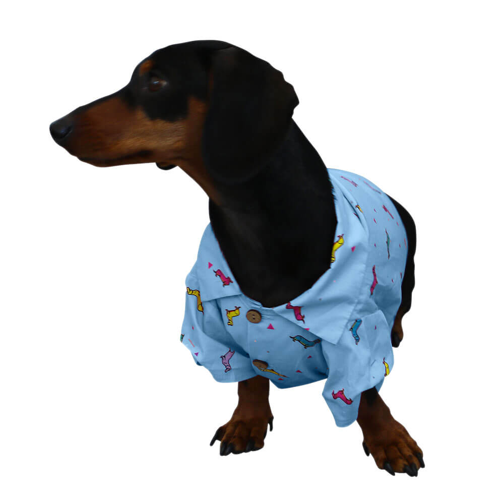 Dachshund Weenie Beanie Shirt