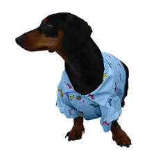 Dachshund Weenie Beanie Shirt