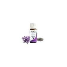 Lavender Essential Oil (10 ml)