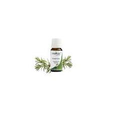 Rosemary Essential Oil (10 ml)