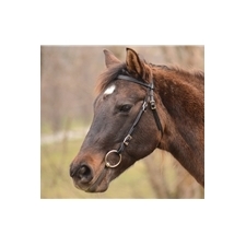 One Size Fits Most WESTERN BRIDLE made from BETA BIOTHANE (Solid Colored)