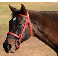 ONE SIZE FITS MOST ENGLISH BRIDLE made from BETA BIOTHANE (Solid Colored)