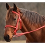 ENGLISH CONVERT-A-BRIDLE made from NYLON