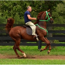 ENGLISH CONVERT-A-BRIDLE made from BETA BIOTHANE (Solid Colored)