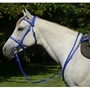blue ENGLISH CONVERT-A-BRIDLE made from BETA BIOTHANE (Solid Colored)