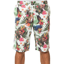 The Hawaiian Safari Shorts in Off White